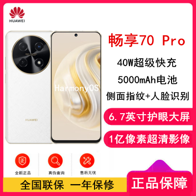HUAWEI 畅享 70 Pro (CTR-AL20) 256GB 雪域白