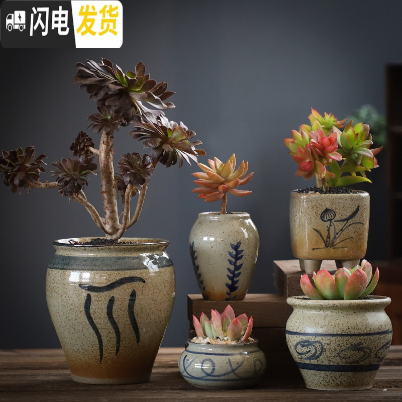 三维工匠多肉花盆大号老桩创意个性大口径粗陶透气陶瓷肉肉植物盆 SU本粗陶001组合5个 中等花盆容器