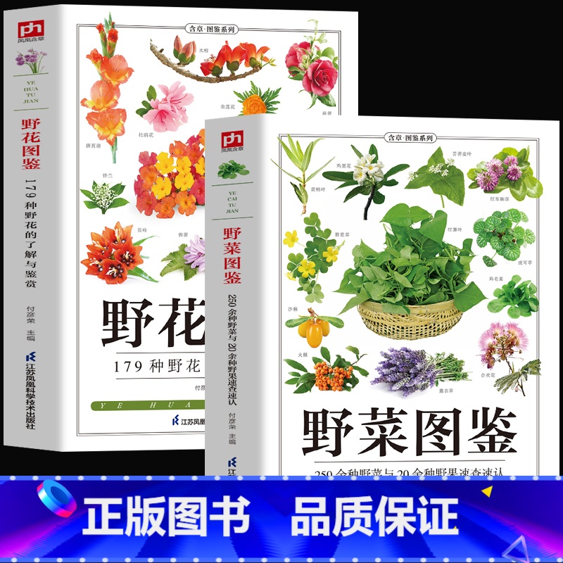 【正版】全2册野菜图鉴+野花图鉴常见花卉园林植物识别图鉴野外野菜识别速查图鉴植物特性药学图鉴植物花草识别图解食疗书籍