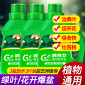 浓缩植物营养液花肥通用型家用绿植盆栽绿萝富贵竹发财树肥料绿箩 3瓶装共1500ML到手3斤装a+