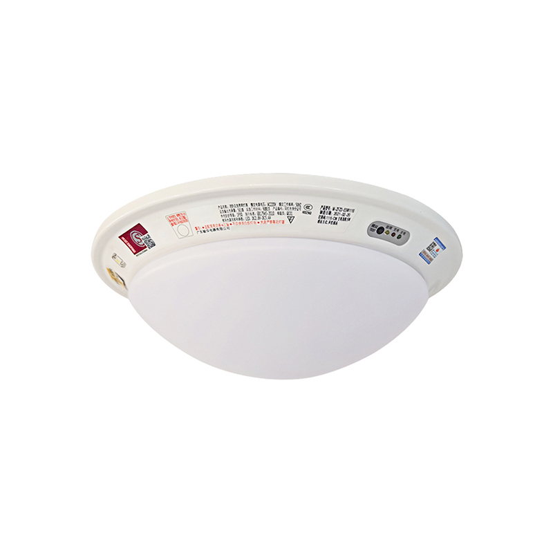 汇特益 LED消防应急照明灯吸顶式家用楼道商场应急吸顶灯 YC-18W应急吸顶灯+开关控制(单位:个)
