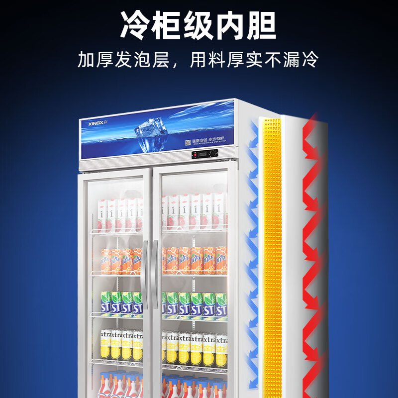 星星(XINGX)LSC-818Y 800升大容量双门冷藏展示柜 商用冰箱保鲜冷藏冰柜 玻璃门立式饮料柜高清大图