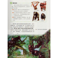 2018年春七年级下册生物学/人教版/七年级下册生物学课本7七年级生物学下册教材教科书/(ZX)L新课标生物7下/人民教