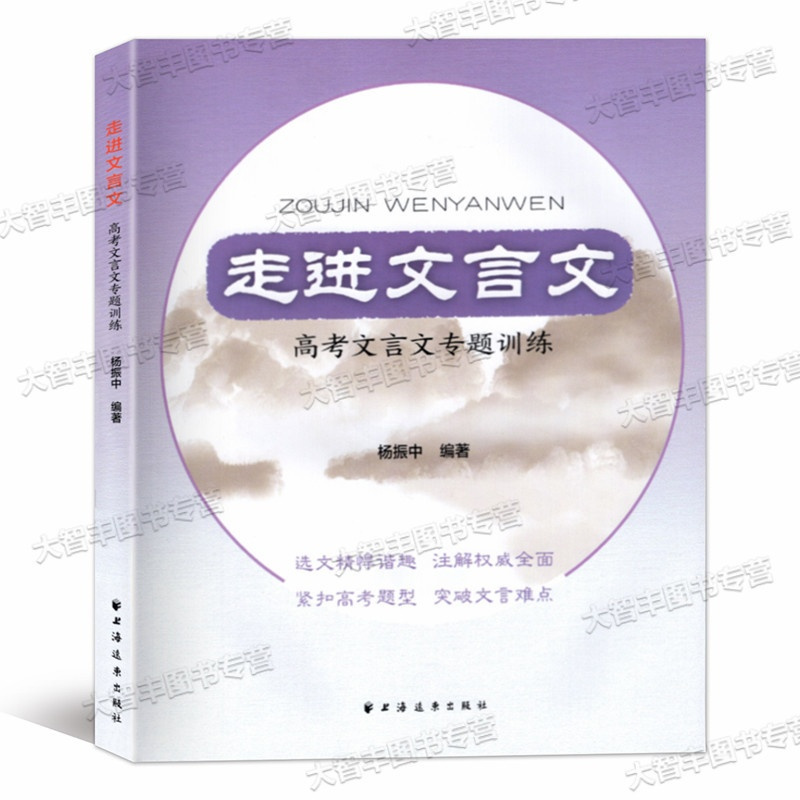 [正版]走进文言文 高考文言文专题训练 杨振中 上海远东出版社 高中文言文专题训练 高中文言文选文注解自测 高一高二高