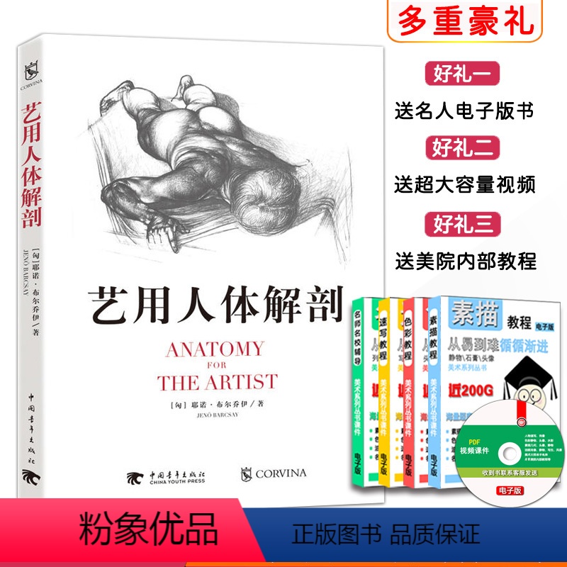 [正版]00艺用人体解剖(匈)耶诺·布尔乔伊(JenoBarcsay)著素描造型教学人体素描人体造型艺术教学书籍
