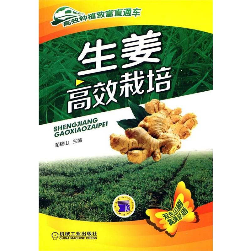 【M】生姜高效栽培-9787111482864