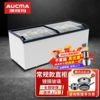 澳柯玛(AUCMA) 超市组合展示柜商超岛柜 卧式冰柜冰淇淋冷冻雪糕柜冷饮水饺丸子保鲜柜直柜IHF-D2209PA