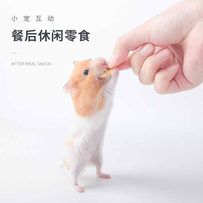 宠物零食什锦水果干500ml仓鼠兔子龙猫荷兰猪粮食饲料用品高清大图