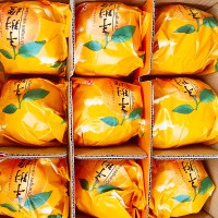 【顺丰发货】苗家十八洞 湘西纽荷尔脐橙礼盒7斤装 单果径75-80mm 时令新鲜水果橙子坏果包赔