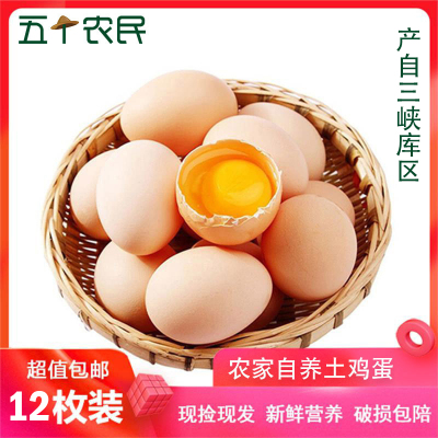 五个农民 12枚装 480g湖北三峡草鸡蛋 现捡现发土鸡蛋 农家自养土鸡蛋