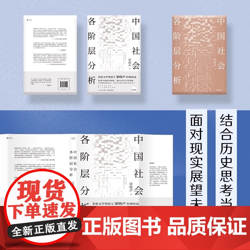中国社会各阶层分析梁晓声茅盾文学奖得主经典作品人民日报看清中国阶层现状社会生存逻辑正版书籍高清大图