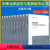 【全套10册】刑事法律适用与案例指导丛书 【正版】全套10本 刑事法律适用与案例指导丛书 胡云腾 刑法总则刑事诉讼金导】