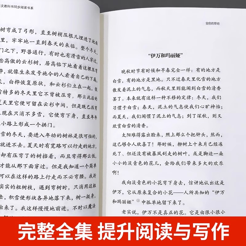 搭船的鸟 [正版]金色的草地书籍米普里什文著作三年级必读课外书统编小学生的语文教科书同步阅读书系儿童文学读物故事书长江文