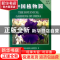 正版 中国植物园(第8期) 中国林业出版社 中国林业出版社 9787503