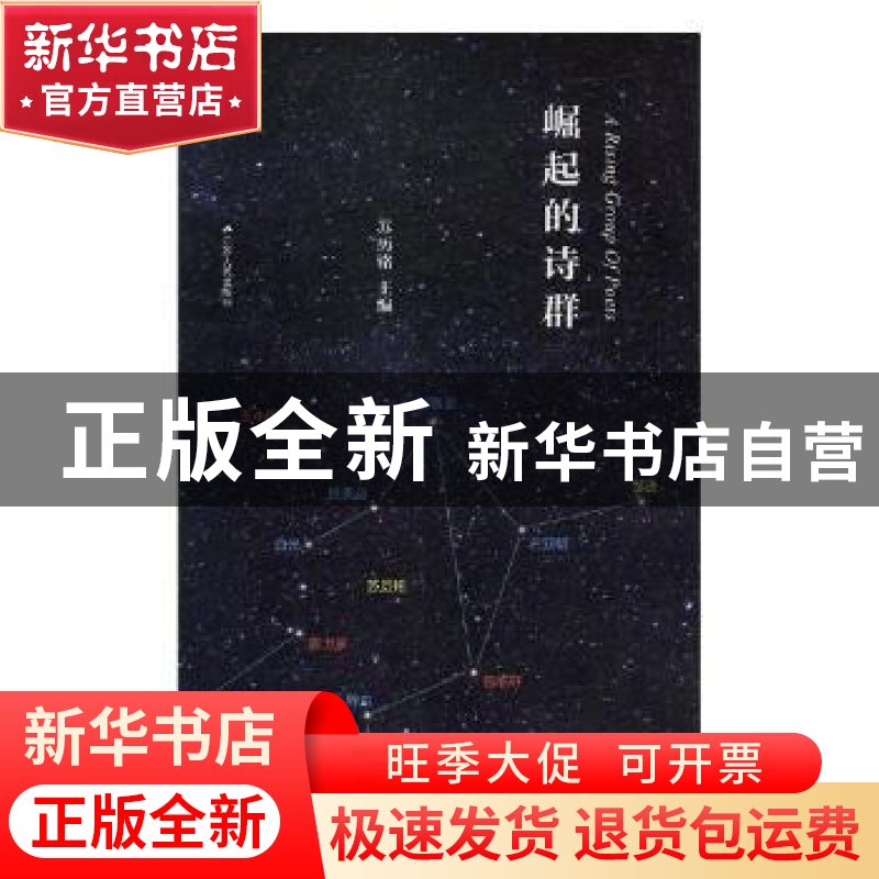 正版 崛起的诗群 苏历铭主编 江苏人民出版社 9787214219473 书籍