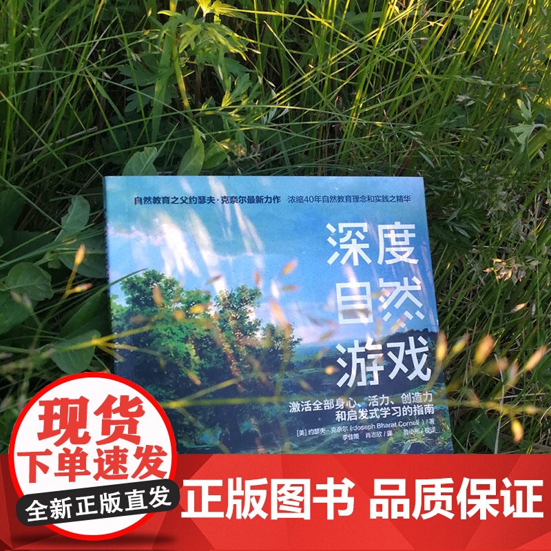 深度自然游戏 世界自然教育之父约瑟夫 克奈尔 孩子健康成长 幼儿园户外游戏课程 户外活动指导书籍 激活全部身心培养孩子高清大图