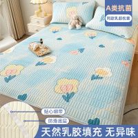 南极人夏季冰丝乳胶凉席三件套宿舍学生单人家用折叠可水洗空调宿 90x200cm乳胶单凉席 郁金香加厚乳胶加倍凉感