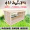 带框巢础成品巢框蜂巢中蜂意蜂杉木巢基蜜蜂巢框养蜂工具蜂箱 中蜂成品巢框5个装