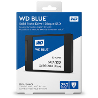 西部数据WD 250G SATA接口蓝盘固态 250G笔记本台式机SSD 固态硬盘