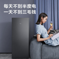 TCL 118升迷你复古冰箱单门双温节能低噪租房电冰箱迷你小型租房节能冰箱R118L1-A熔岩灰