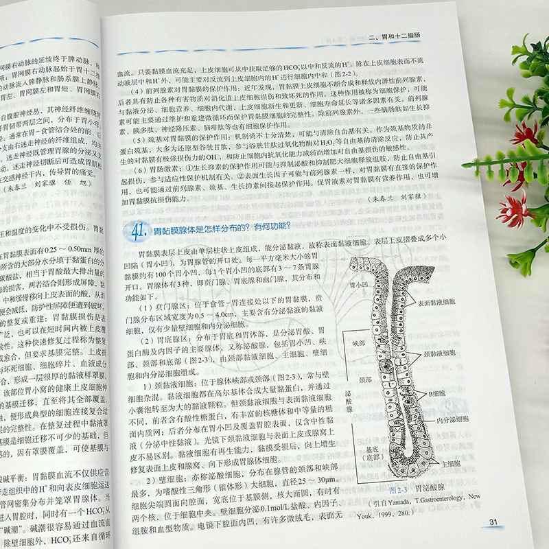 单本全册 [正版]消化内科主治医生550问 现代主治医生提高丛书 内科学医学书籍 任旭 杨幼林 张德凯主编 978756
