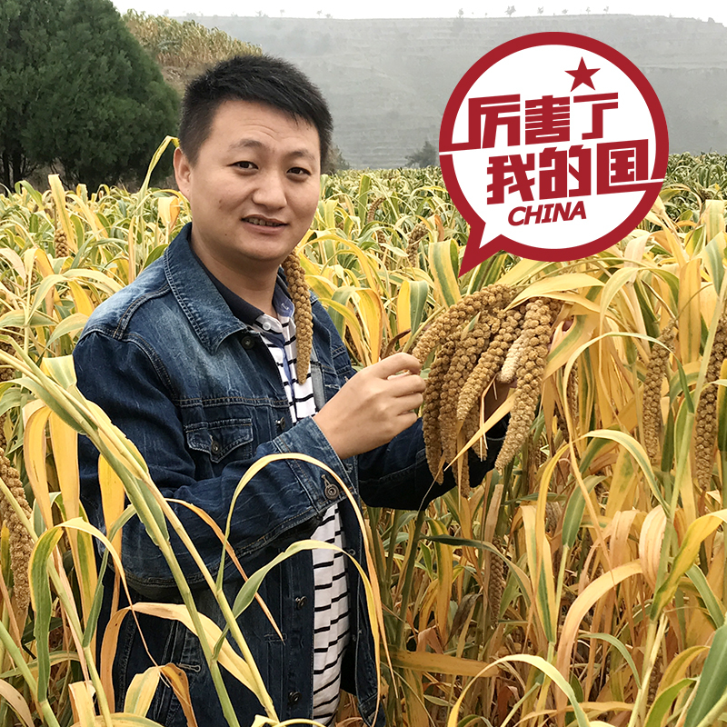 【桃花峁】黄小米桃花峁养生粥 真空装420g×2 杂粮农家 小米粮食陕西陕北特产
