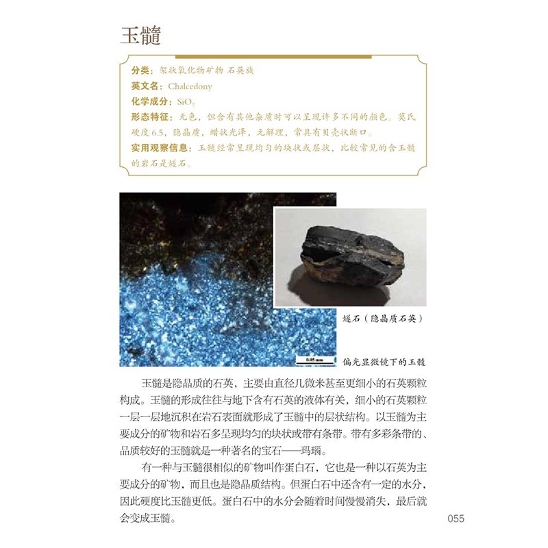 [醉染正版]北京自然观察手册 矿物和岩石 无穷小亮张辰亮推荐 曹醒春博物科普书籍 矿物岩石科普百科全书 如何实地进行地质高清大图