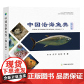 中国沿海鱼类（第4卷）