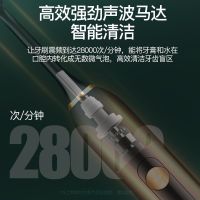 荣事达电动牙刷家用软细毛充电式超声波防水美白全自动女简约白电池款(1刷头+1节电池+1档位)