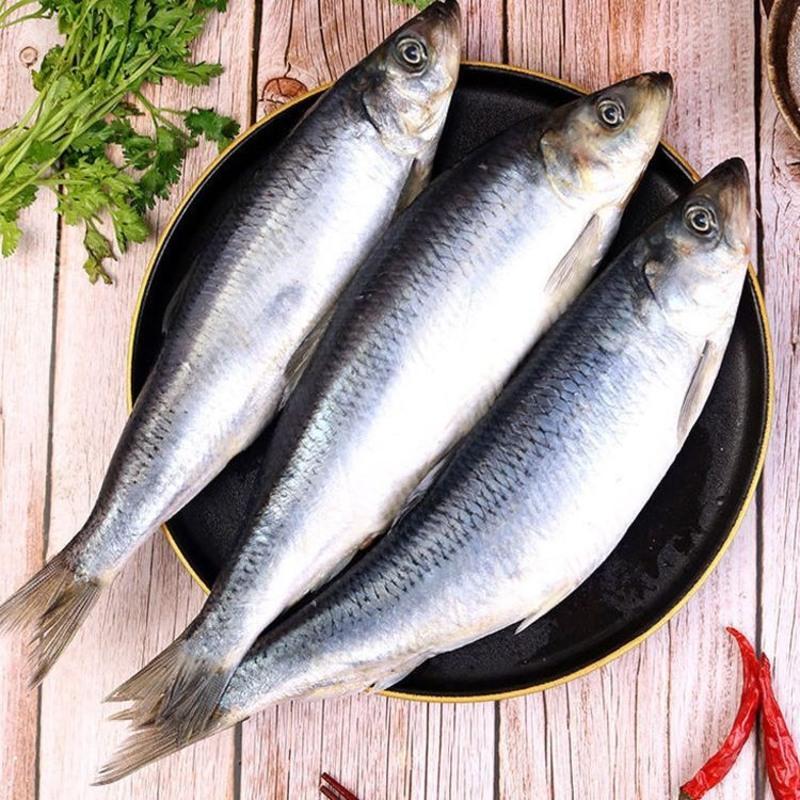 赛卡伊 东北沙丁鱼辽宁山东青鱼海鱼沙丁鱼冷冻懒人之宝新鲜烧烤食材
