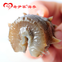 老尹家海参 即食海参 开袋即食海参 深海底播 2340g 26只金色大铁桶礼盒