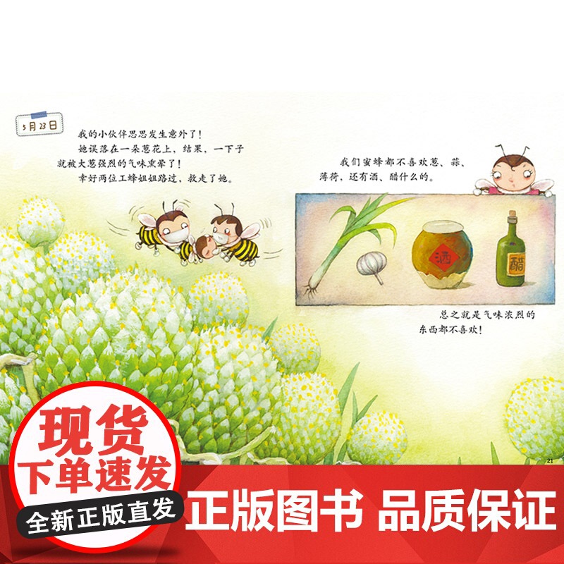 我的日记系列:蜜蜂的日记精装绘本图画书适合3岁以上幼儿园中少社正版童书高清大图