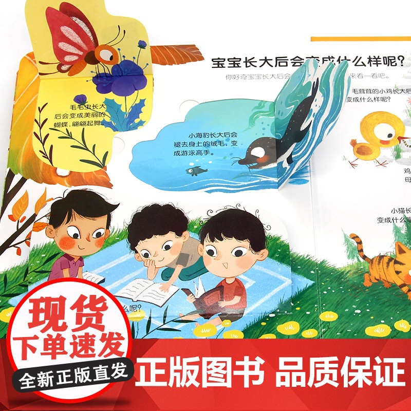 藏起来的小秘密立体绘本故事书3到6岁儿童早教启蒙书幼儿园阅读0-4岁5岁以上专用大班三岁3d翻翻书婴幼儿必读认知高清大图