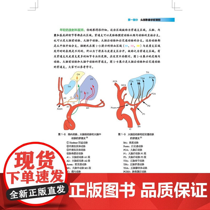 影像诊断技巧 要点与盲点1 最全肺部分段图解,纯干货免费分享! 警惕这样的肠梗阻!---你忽视的肠梗阻诊断技巧 北京科学高清大图