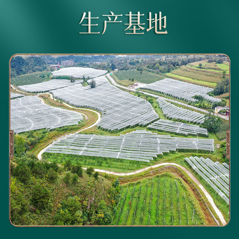 蜜吧秘语 蜂蜜百香果[风味蜜]农家自产优质蜜源蜂蜜制品100g*4瓶