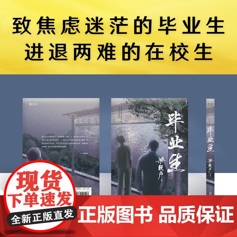 毕业生 第十届茅盾文学奖得主 电视剧《人世间》原著作者梁晓声 写给年轻人的人生重启指南 致焦虑迷茫的毕业生 进退两难高清大图
