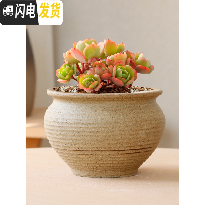 三维工匠素烧多肉花盆大号粗陶透气复古老桩兰花盆创意植物组合高盆栽 19号粗陶盆 大花盆容器高清大图