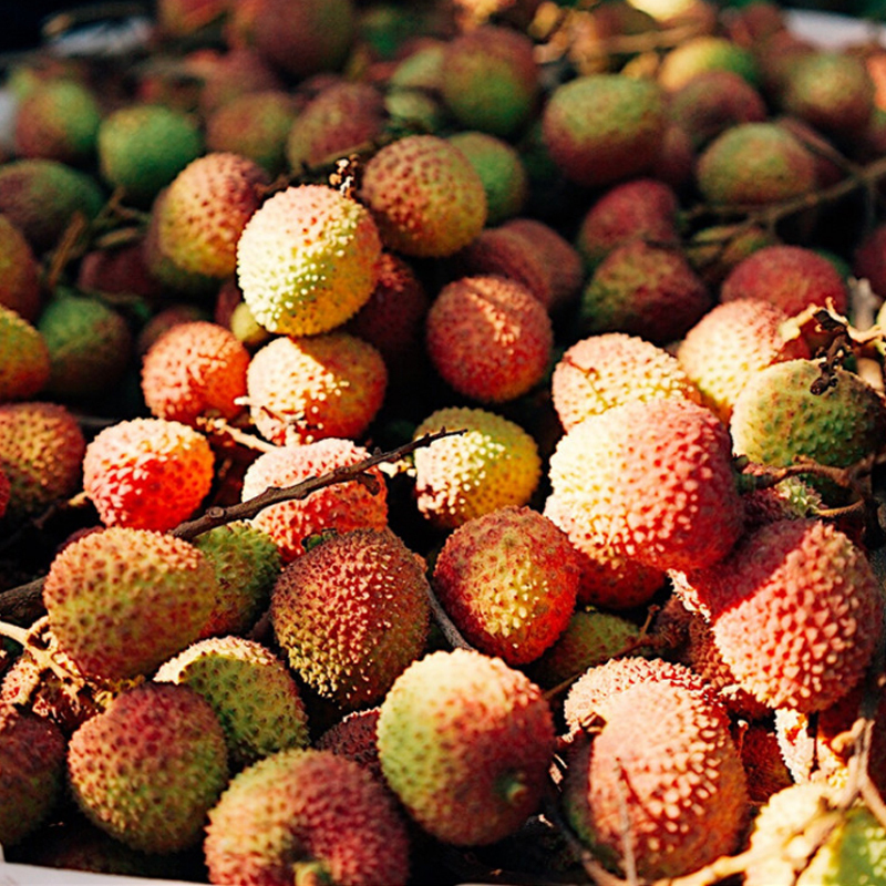 新上市海南荔枝5斤礼盒装净重45斤新鲜水果生鲜水果国产水果陈小四