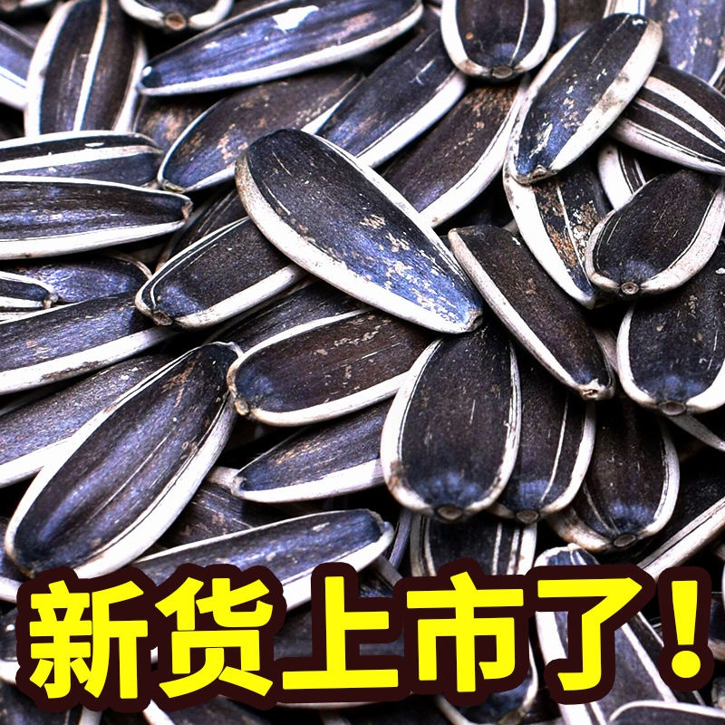 生瓜子批发葵花籽新货散装大颗粒特大向日葵花子 生瓜子(超大颗粒高品质) 5斤(爱心帮助农民售卖)