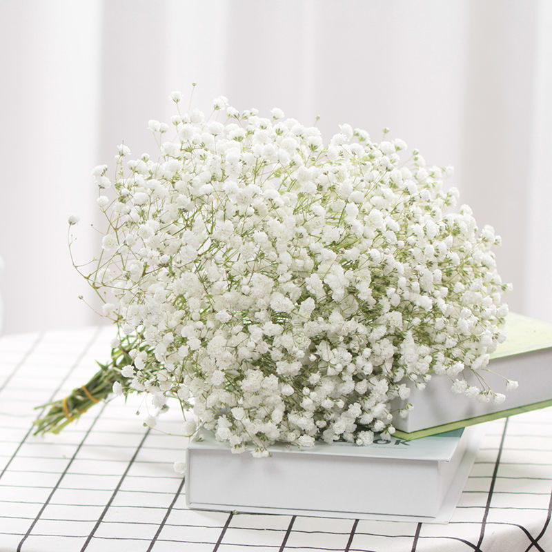 满天星干花花束家居装饰摆设小清新卧室真花摆件女生生日礼物 白色星