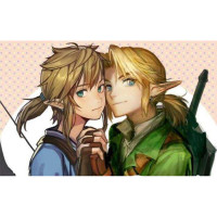 任天堂（Nintendo）Switch NS 家用游戏主机游戏卡带 不锁区 塞尔达传说 荒野之息 中文