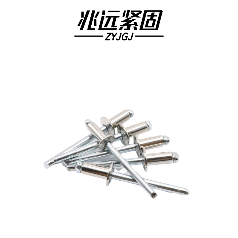 兆远紧固 抽芯铆钉拉铆钉(个)(5*25)高清大图
