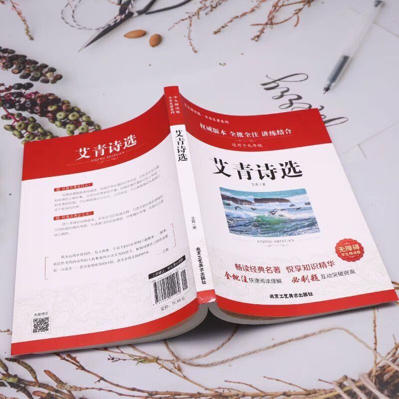 成语大词典 (大开本)(初中-大学适用) [正版]艾青诗选原著 九年级上册必读北京工艺美术出版社完整版初中生9人教版课外