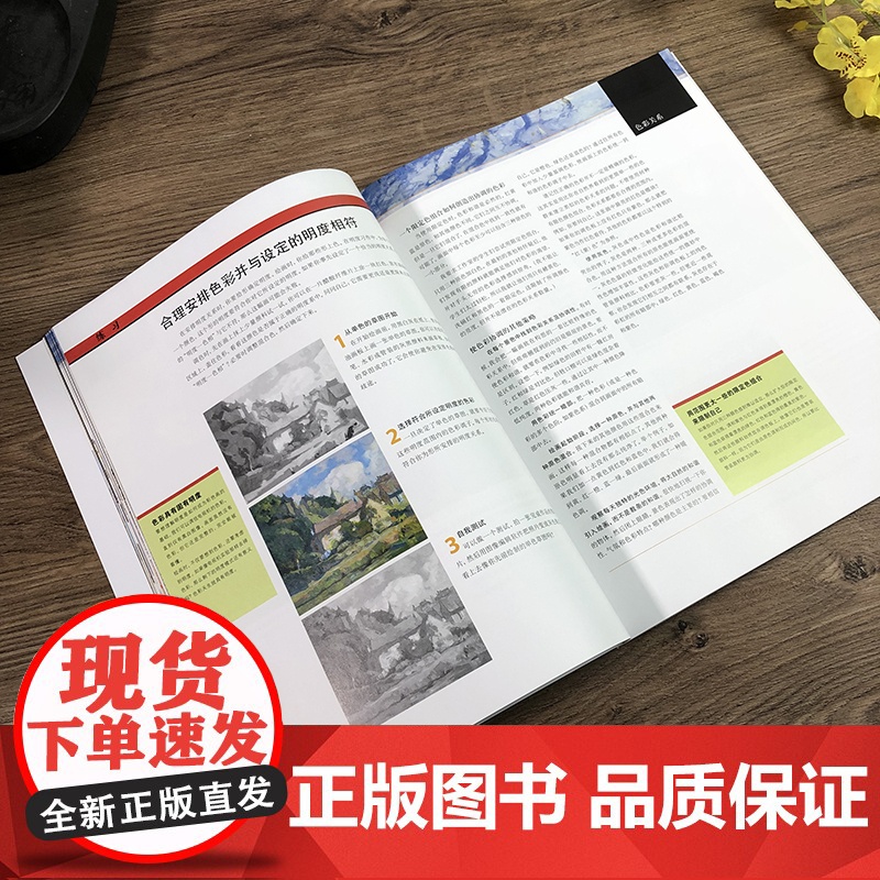 油画风景写生与创作第二版风景油画写生构图色彩光影绘画技法户外室内风景油画创作步骤示范教学 油画初学自学基础入门教程高清大图