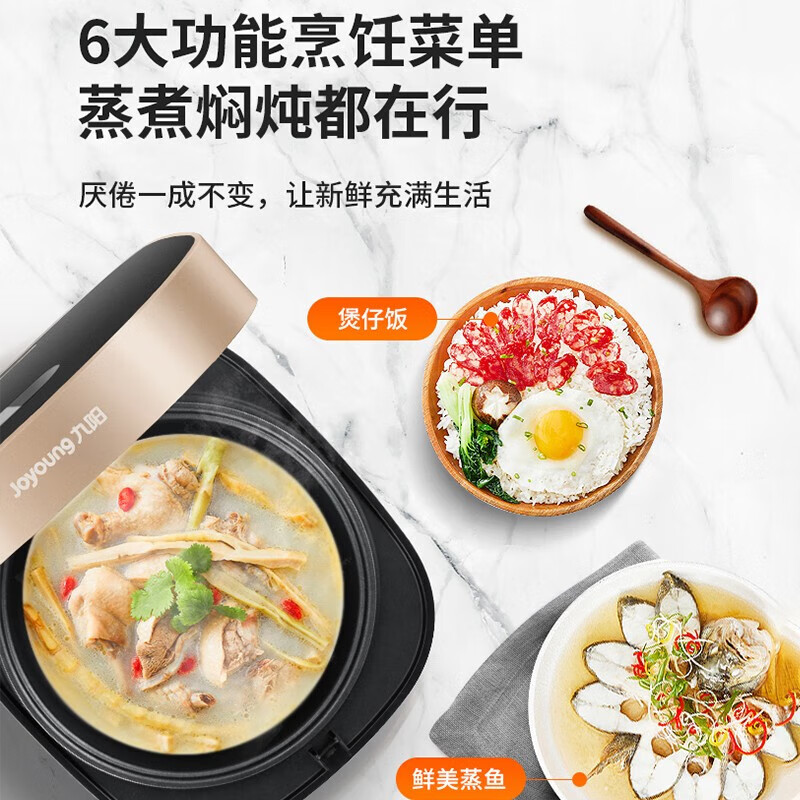 九阳(Joyoung)电饭煲 F40FZ-F531(B) 4L高清大图
