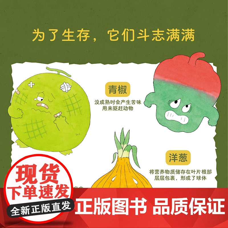 蔬果也要斗志满满 手绘自然图鉴《蔬果也要斗志满满》 稻垣荣洋 中国纺织出版社高清大图