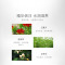 百雀羚水嫩倍现盈透精华水100ml