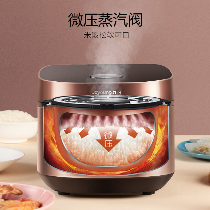 九阳(Joyoung)电饭煲家用4升柴火饭大火力快煮智能预约多功能焖煮防溢电饭煲电饭锅F-40FZ815