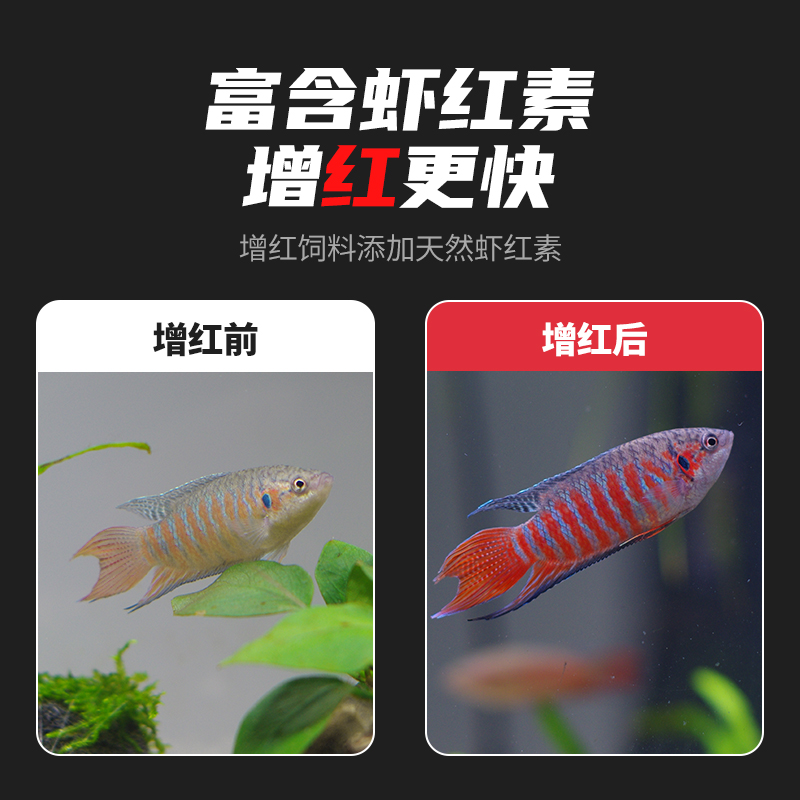 中国斗鱼饲料小颗粒增红鱼粮金鱼曼龙浮专用细鱼食小型鱼普叉鱼料高清大图