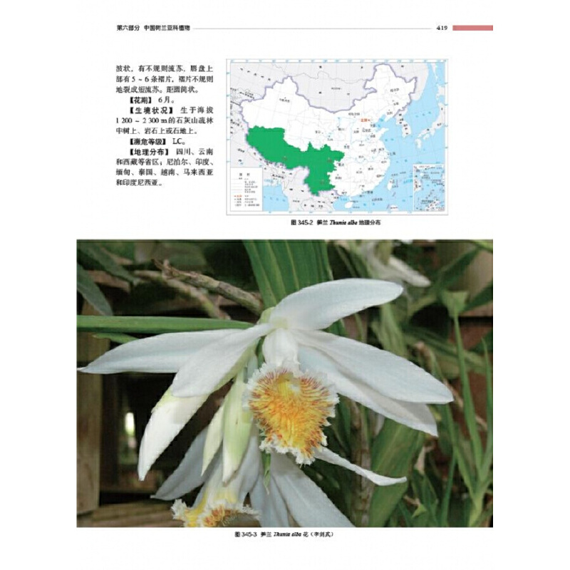 [醉染正版]精装 中国野生兰科植物原色图鉴 上下卷 金效华花图鉴基础知识 种类分类园艺栽培 兰科植物花叶特征识别大全 自高清大图